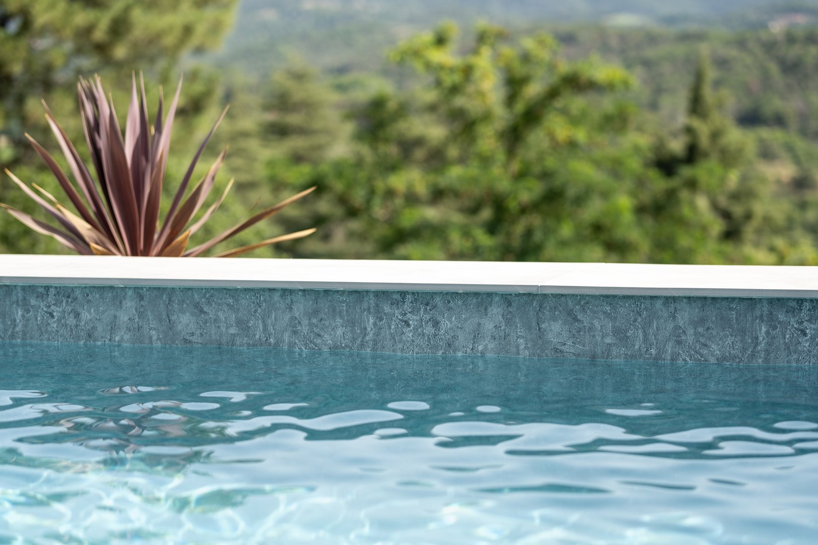 SICOLPOOL - Imagen 48